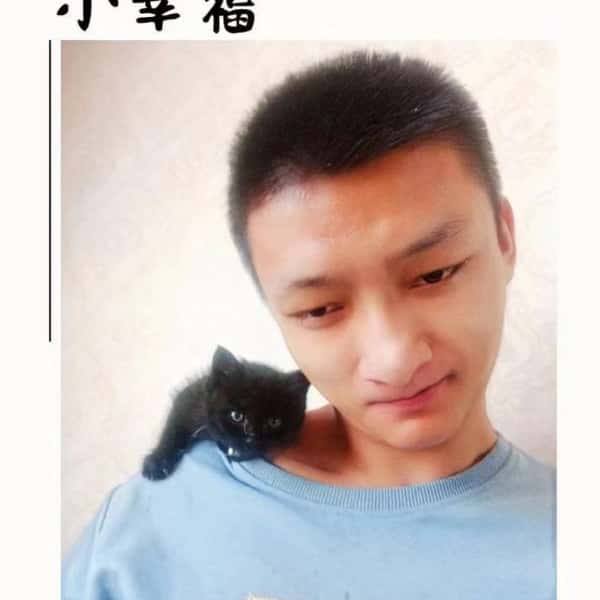 沈阳征婚相亲网