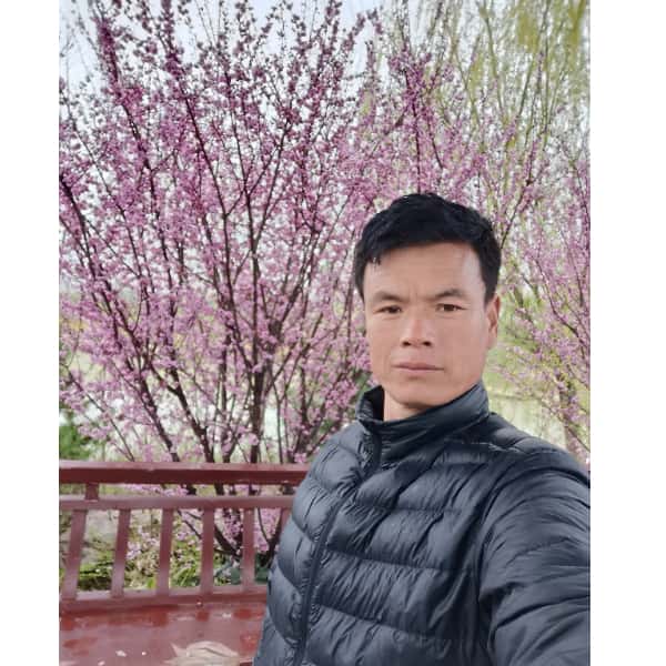 沈阳征婚相亲网