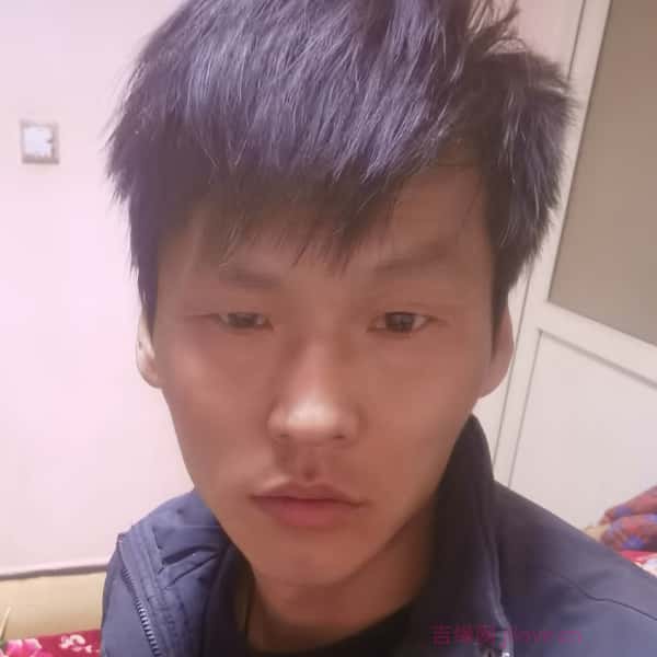 沈阳征婚网